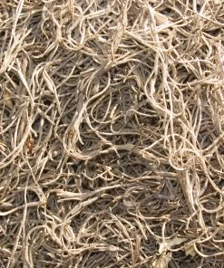 Landscaping Online Outlet -Landscaping Online Outlet 04933851