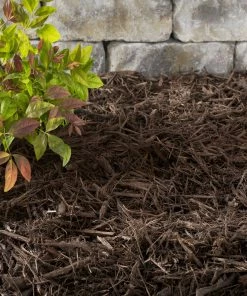 Thing Premium 2-cu ft Dark Brown Hardwood Mulch 9 Thing Premium 2-cu ft Dark Brown Hardwood Mulch -Landscaping Online Outlet 05316692 scaled