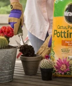 Landscaping Online Outlet -Landscaping Online Outlet 05444616