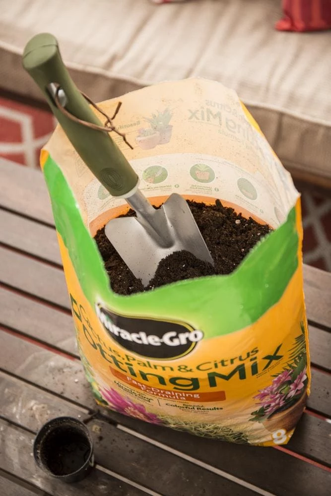 Miracle-Gro Soil & Soil Amendments 8-Quart Potting Soil Mix 3 Miracle-Gro Soil & Soil Amendments 8-Quart Potting Soil Mix - Image 3