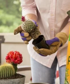 Miracle-Gro Soil & Soil Amendments 8-Quart Potting Soil Mix 11 Miracle-Gro Soil & Soil Amendments 8-Quart Potting Soil Mix -Landscaping Online Outlet 05444619
