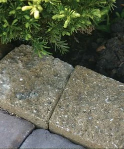 Thing Insignia 5-in L x 8-in W x 3-in H Concrete Straight Edging Stone -Landscaping Online Outlet 07921840