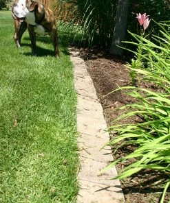 Thing Insignia 5-in L x 8-in W x 3-in H Concrete Straight Edging Stone -Landscaping Online Outlet 07921841