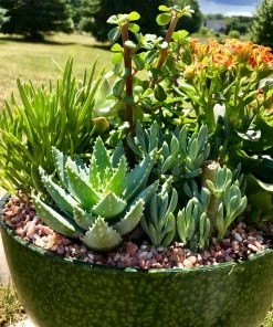 AKASHA Landscaping Rock 4-lb Indoor Decorative Rock -Landscaping Online Outlet 08250211