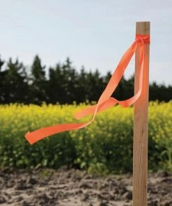 Thing Landscape Fabric & Stakes 12-Pack 12-in Wood Landscape Stake -Landscaping Online Outlet 08887965