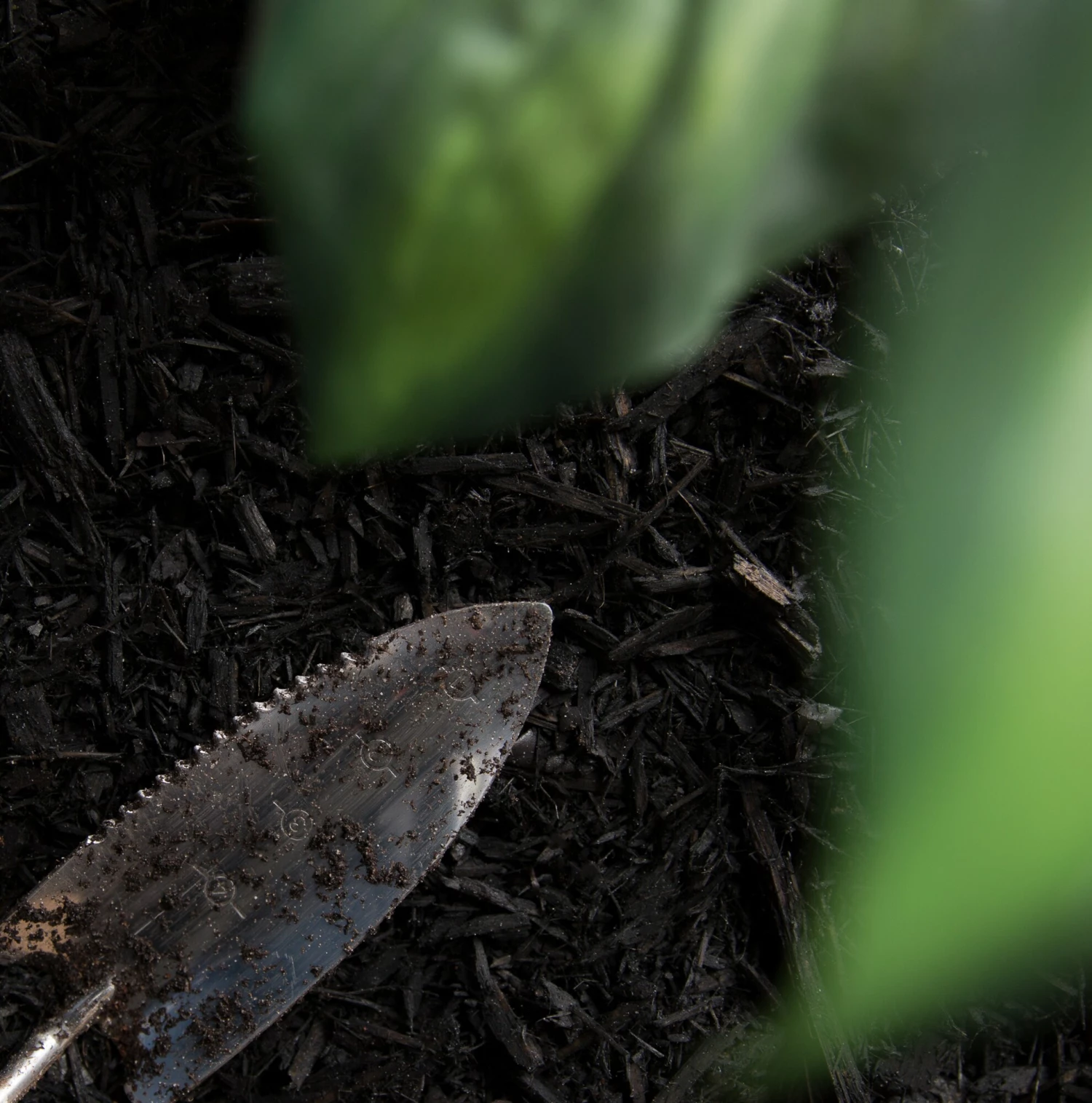 Thing Premium 2-cu ft Black Hardwood Mulch 5 Thing Premium 2-cu ft Black Hardwood Mulch - Image 5