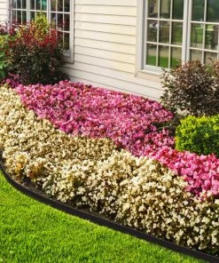 EasyFlex 20-ft Black Plastic Landscape Edging Roll -Landscaping Online Outlet 11270387
