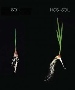 Harvest Gold Organics Soil & Soil Amendments Premium Soil Conditioner Organic Provides Organic Nutrients 11 Harvest Gold Organics Soil & Soil Amendments Premium Soil Conditioner Organic Provides Organic Nutrients -Landscaping Online Outlet 12097049
