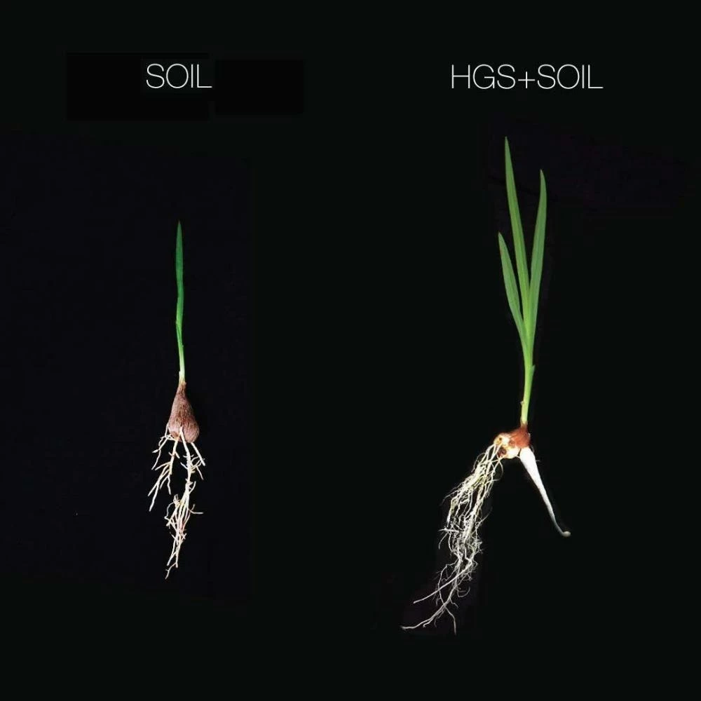 Harvest Gold Organics Soil & Soil Amendments Premium Soil Conditioner Organic Provides Organic Nutrients 4 Harvest Gold Organics Soil & Soil Amendments Premium Soil Conditioner Organic Provides Organic Nutrients - Image 4