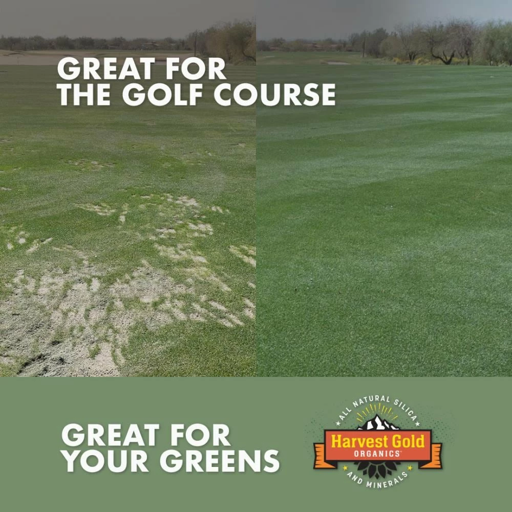 Harvest Gold Organics Soil & Soil Amendments Premium Soil Conditioner Organic Provides Organic Nutrients 5 Harvest Gold Organics Soil & Soil Amendments Premium Soil Conditioner Organic Provides Organic Nutrients - Image 5