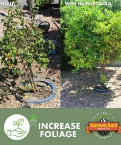 Harvest Gold Organics Soil & Soil Amendments Premium Soil Conditioner Organic Provides Organic Nutrients 13 Harvest Gold Organics Soil & Soil Amendments Premium Soil Conditioner Organic Provides Organic Nutrients -Landscaping Online Outlet 12097051
