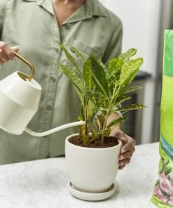 Miracle-Gro Soil & Soil Amendments Moisture Control Peat Moss Moisture Control -Landscaping Online Outlet 12190882