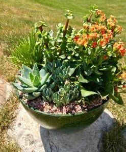 AKASHA Landscaping Rock 4-lb Indoor Decorative Rock -Landscaping Online Outlet 16989167