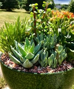 AKASHA Landscaping Rock 4-lb Indoor Decorative Rock -Landscaping Online Outlet 16989168