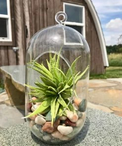 AKASHA Landscaping Rock 5-lb Indoor Decorative Rock -Landscaping Online Outlet 17076905