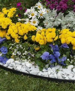 Landscaping Online Outlet -Landscaping Online Outlet 40596037