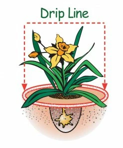 Espoma Soil & Soil Amendments Garden Organic Lime Ph Balancer -Landscaping Online Outlet 42677962