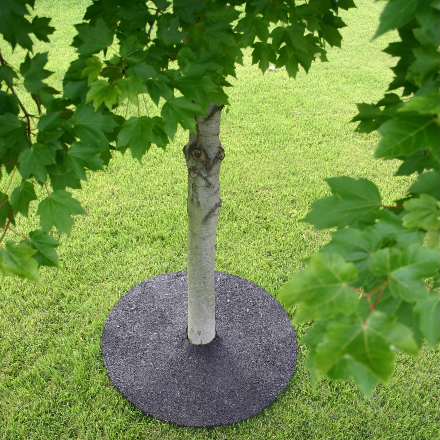 Rubberific Mulch Brown Recycled Rubber Rubber 24-in Tree Ring 8 Rubberific Mulch Brown Recycled Rubber Rubber 24-in Tree Ring - Image 8