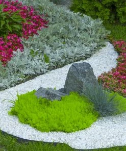 Beach Pebble Company Landscaping Rock Decorative stone chip 30-lb White Decorative Rock 6 Beach Pebble Company Landscaping Rock Decorative stone chip 30-lb White Decorative Rock -Landscaping Online Outlet 44319150