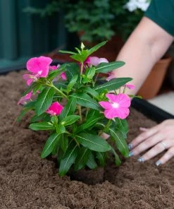 Sta-Green Soil & Soil Amendments Perfect 25-Quart Potting Soil Mix -Landscaping Online Outlet 45499182